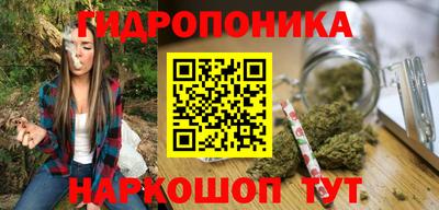 прущие крисы Дубна