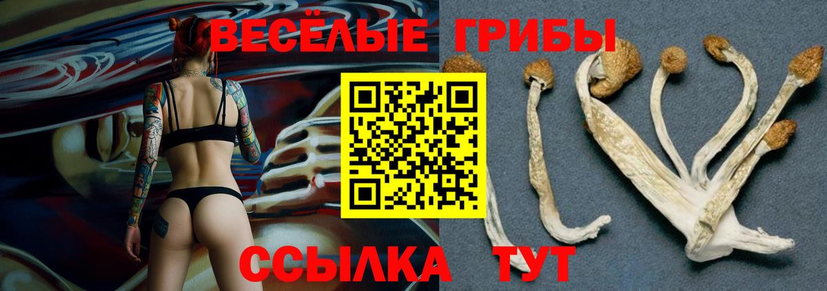 Галлюциногенные грибы MAGIC MUSHROOMS  Галлюциногенные грибы Psilocybine cubensis  Каменск-Шахтинский  Вход с VPN 